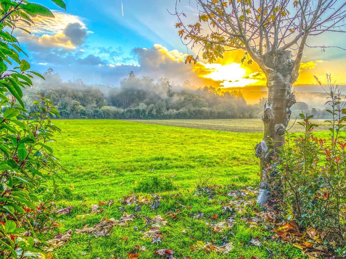 A Carballeira Do Tambre Daire Troitosende Dış mekan fotoğraf